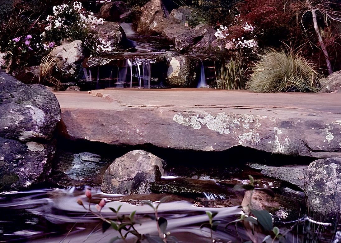 Waterfall spilling into large bio pool swimming pool in large flagstone Bridgestone. Award winner, San Francisco Garden Show.
