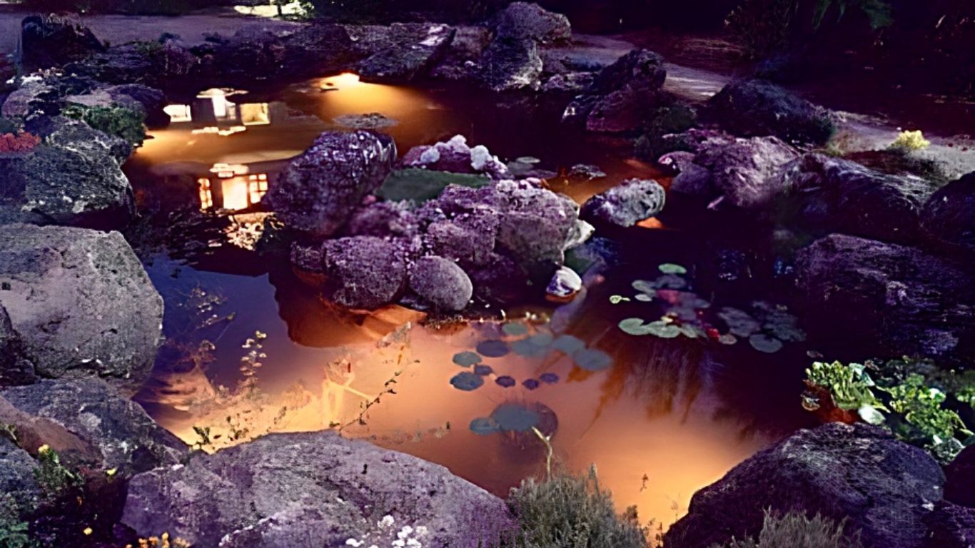 Large decorative pond with boulders, floating stepping stone and island.